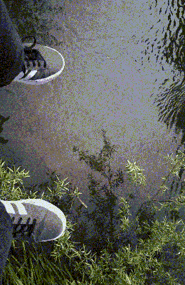 848584.GIF