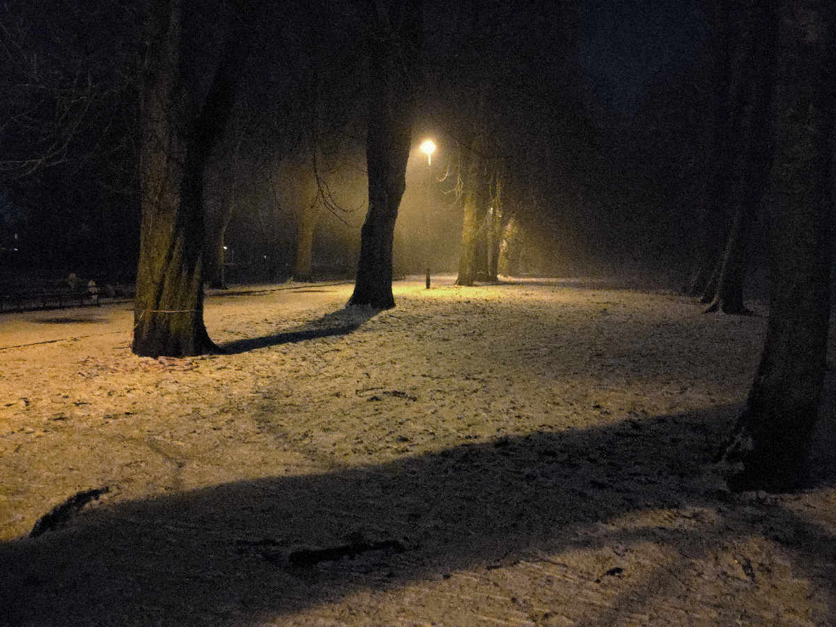 park.jpg